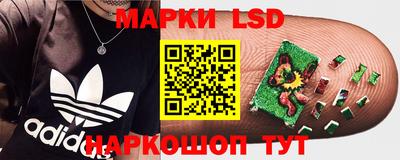 ПСИЛОЦИБИНОВЫЕ ГРИБЫ Обнинск