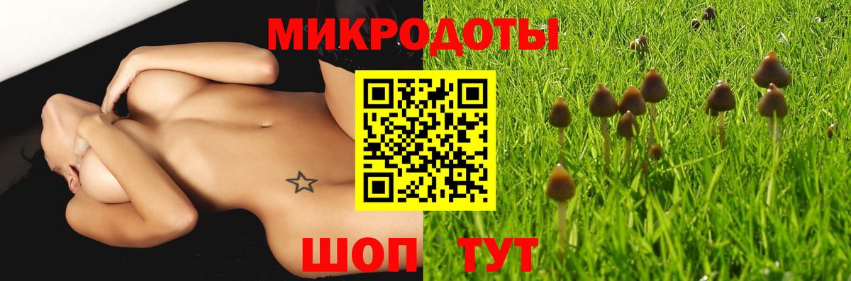 Галлюциногенные грибы Psilocybe Соликамск