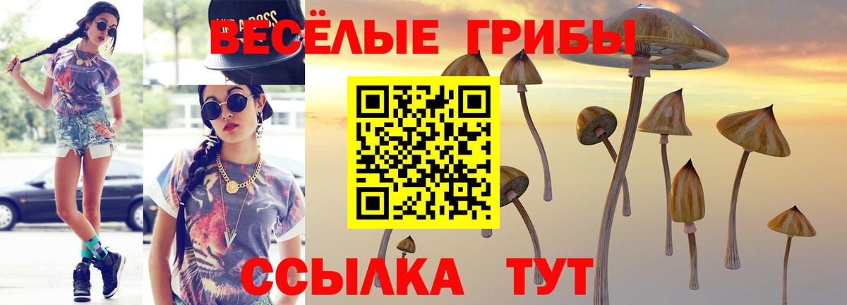 Галлюциногенные грибы прущие грибы  Вход с VPN  Соликамск 